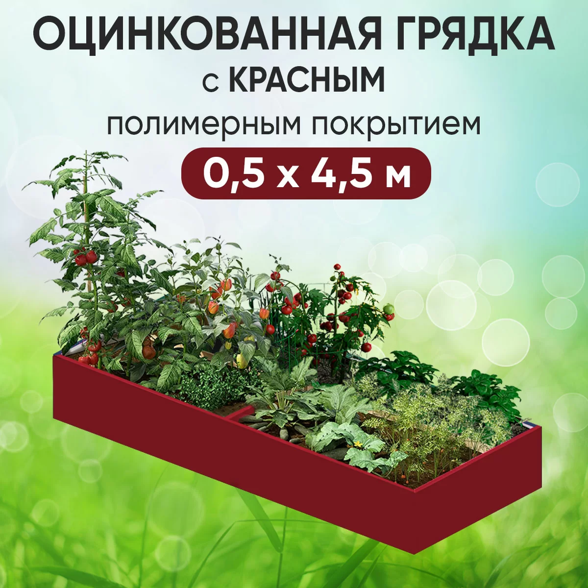 Грядка красная (0,5 х 4,5)