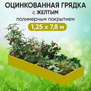 Грядка желтая (1,25 х 7,8)