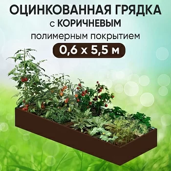 Грядка коричневая (0,6 х 5,5)